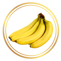 Dwarf Banana Tree Cavendish