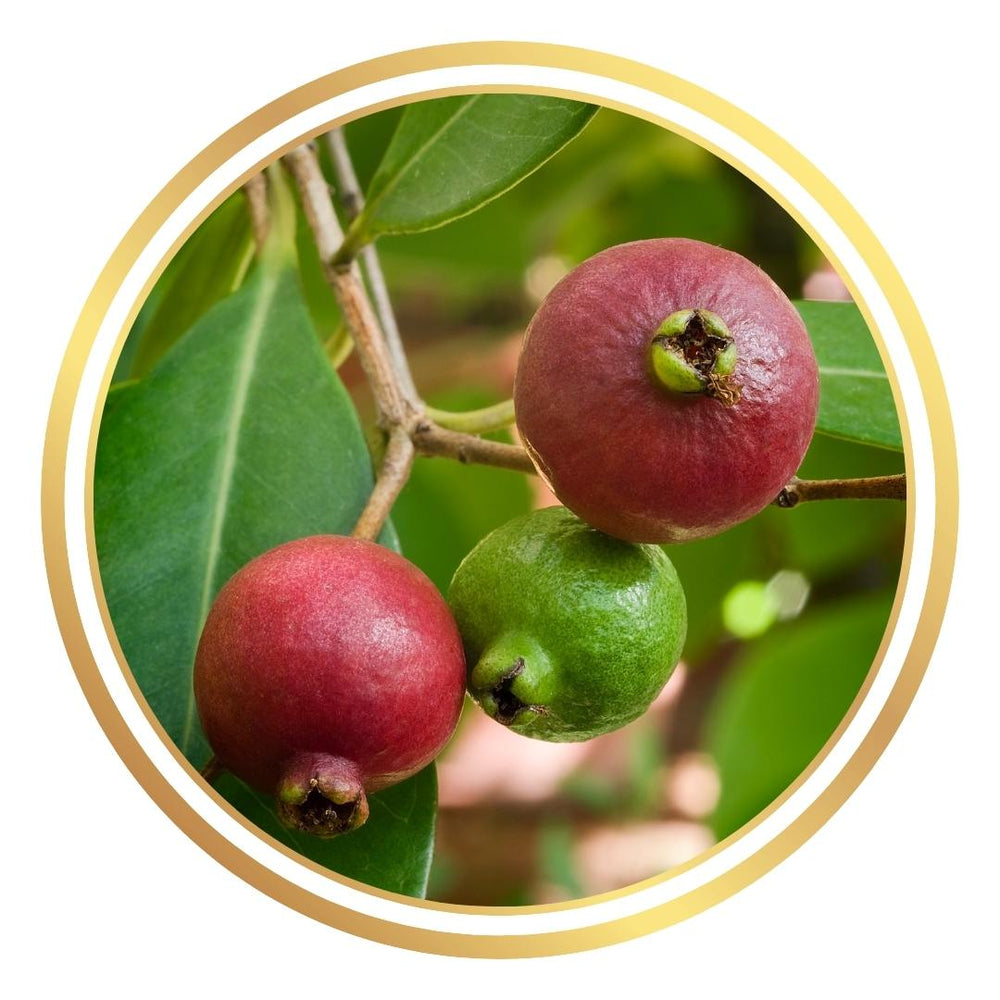 Cherry Guava
