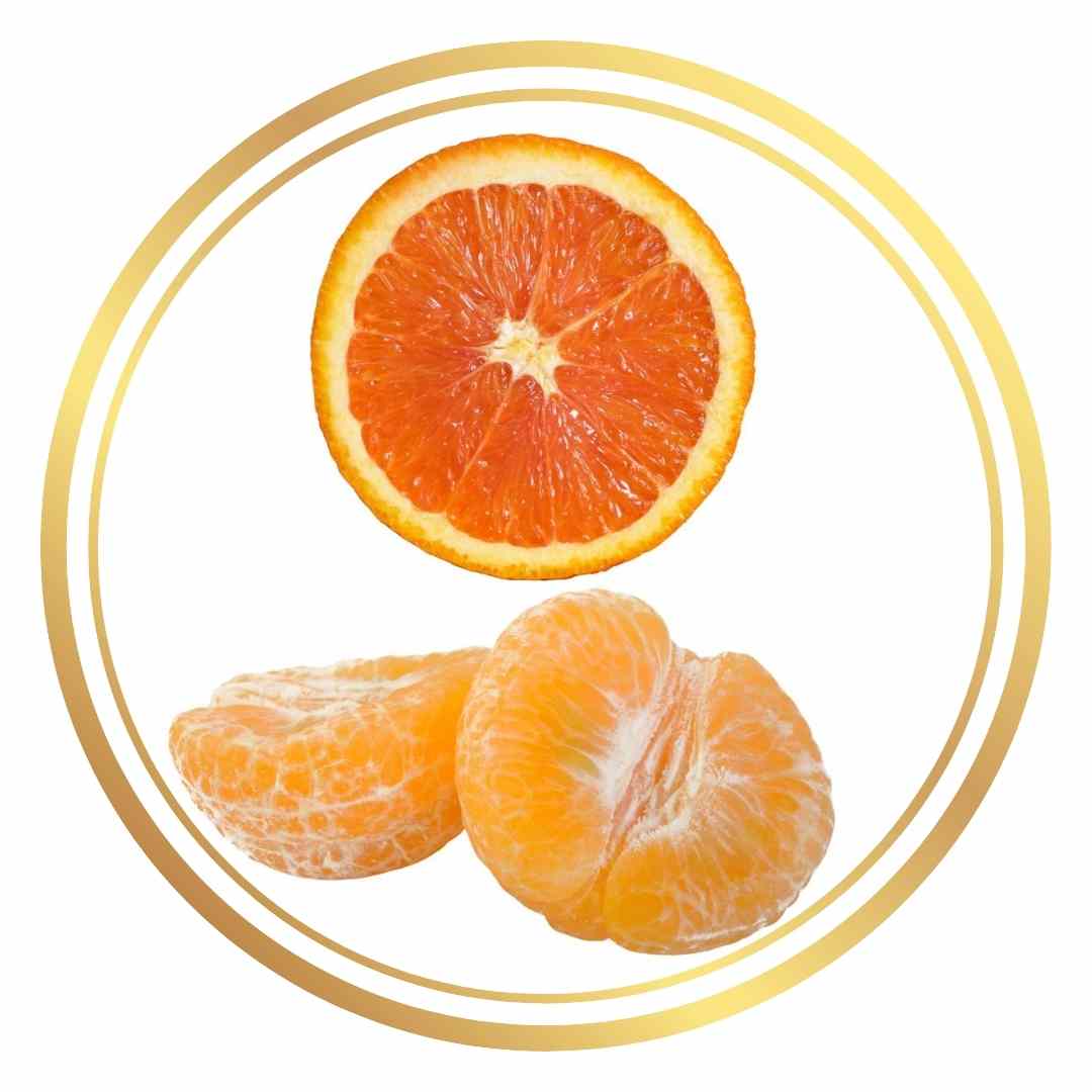 IMPERIAL MANDARIN AND CARA CARA ORANGE TREE Perth